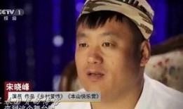 宋晓峰圈内爆料,揭秘娱乐圈不为人知的幕后故事